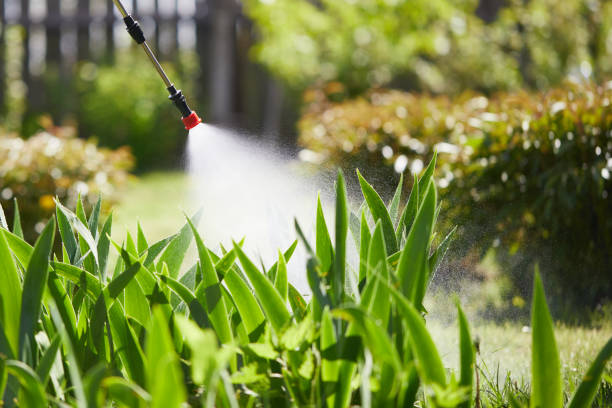 Tamper-Resistant Bait Stations for Rodents in Waupaca