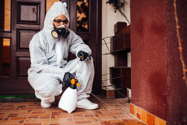 Attic and Crawl Space Rodent Treatment in Waupaca