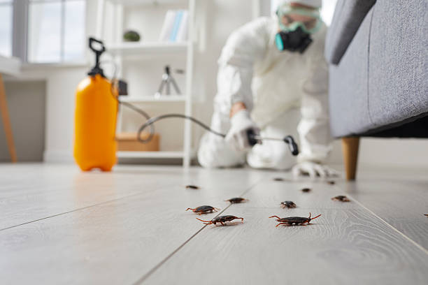 Commercial Rodent Management in Waupaca